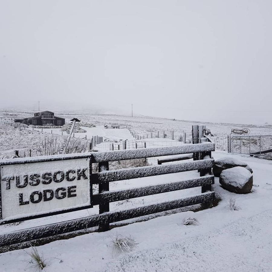 Tussock Lodge - Waipiata Esterno foto